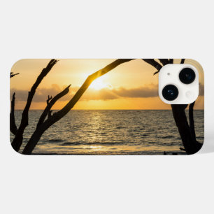 Folly Sunrise Tree Silhouette iPhone Case