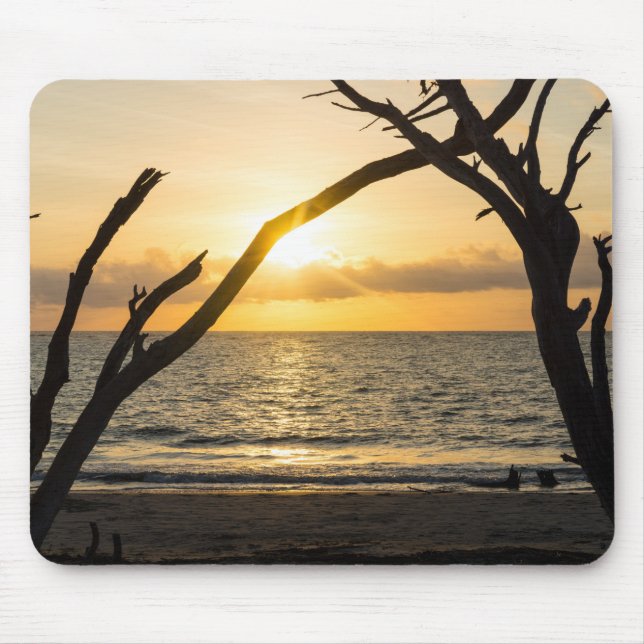 Folly Sunrise Tree Silhouette Mouse Pad (Front)