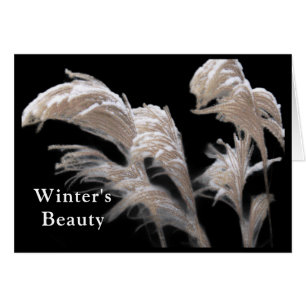 FOND THOUGHTS OF YOU THIS HOLIDAY SEASON/ SNOW