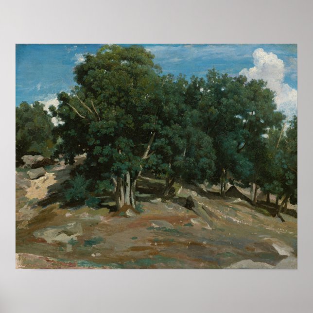 Fontainebleau Oak Trees Poster (Front)