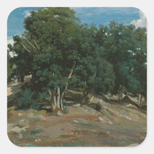 Fontainebleau Oak Trees Square Sticker