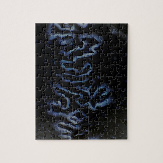 Fontanelle highlight puzzle (Vertical)