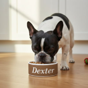 food bowl   food bowl   personalized
