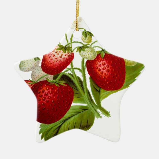 Food fruit leaf leafy leaves ceramic tree decoration (Front)