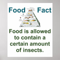 Food Is Allowed to Contain - Food Fact