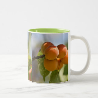 Food Peaches on the Tree Two-Tone Coffee Mug
