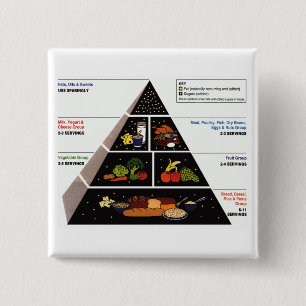Food Pyramid 15 Cm Square Badge