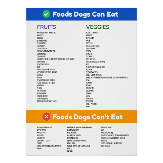 Foods Dogs Can and Can't Eat Large Poster (Front)