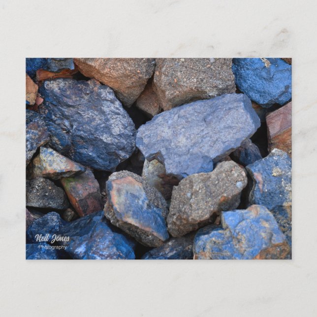 Fools Gold Holiday Postcard (Front)