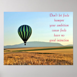 Fools have no good intention poster