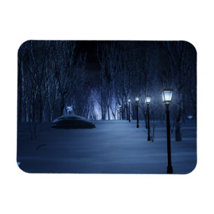 Fool's Light Flexible Magnet