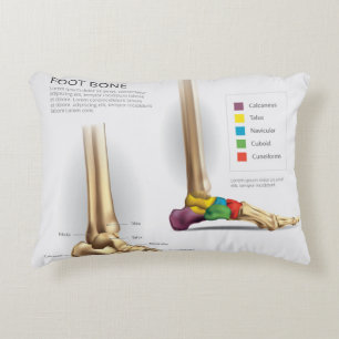  Foot Bone Anatomy Decorative Cushion
