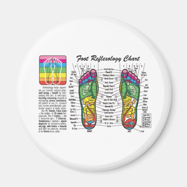 Foot-Massage-Reflexology Magnet (Front)
