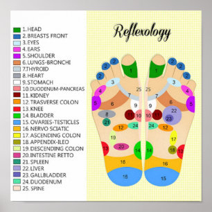 foot reflexology 12x12" poster