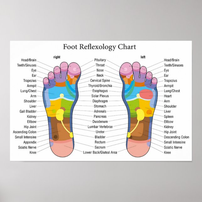 Foot Reflexology 18x12" Poster (Front)