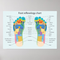 Foot Reflexology 18x13"