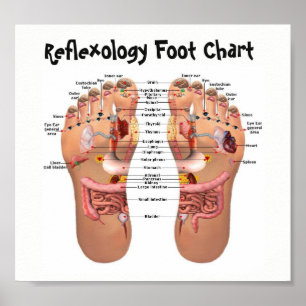 foot reflexology 8x7" poster