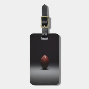 Football 2 luggage tag