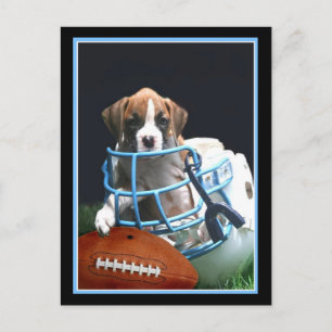 Football Boxer puppy postcard