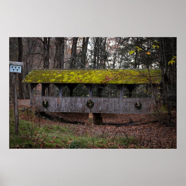 Footbridge in Fall Poster (Front)