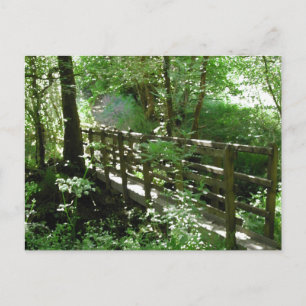 Footbridge in Woodland. Postcard