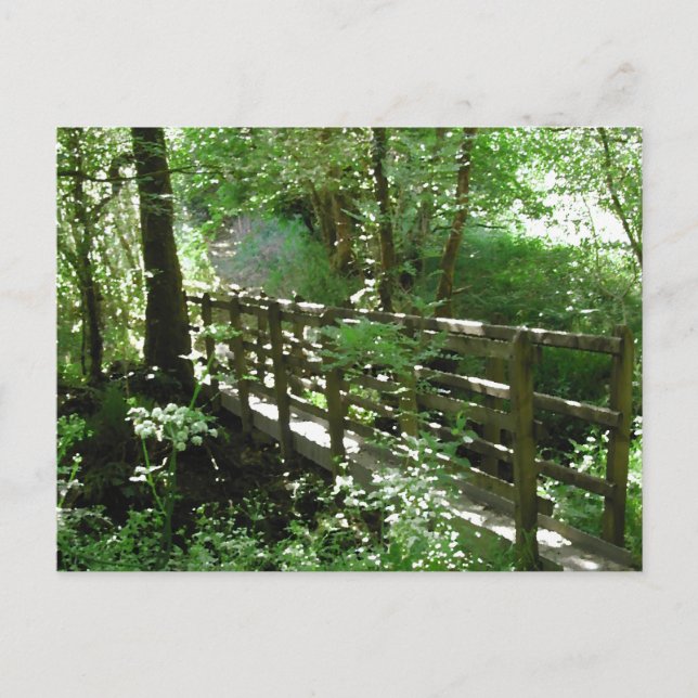 Footbridge in Woodland. Postcard (Front)