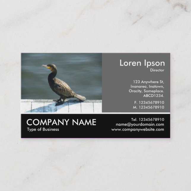 Footed Photo - 60pc Grey - Cormorant Business Card (Front)