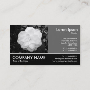 Footed Photo - 60pc Grey - White Camellia Business Card