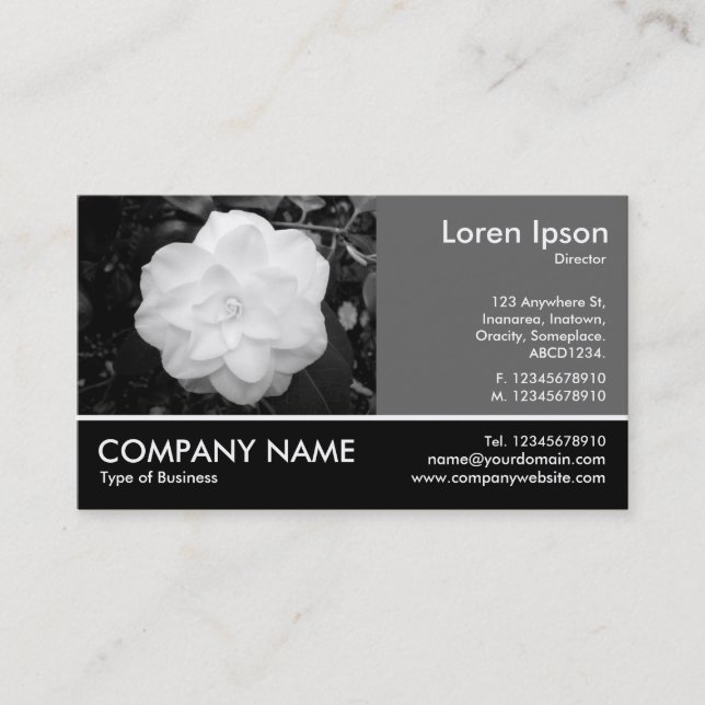 Footed Photo - 60pc Grey - White Camellia Business Card (Front)