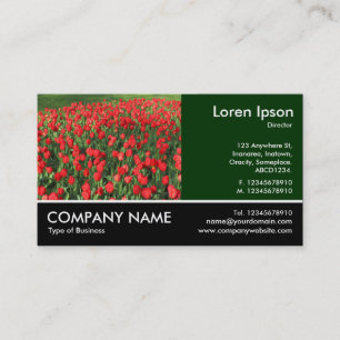 Footed Photo - Bed of Red Tulips 02 Business Card