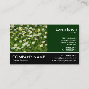 Footed Photo - Daisy Meadow Business Card