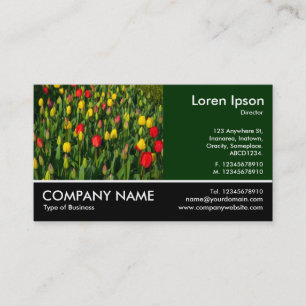Footed Photo - Dk Green - Colourful Tulips Business Card