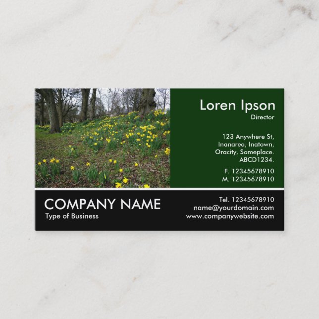 Footed Photo - Dk Green - Daffodils in the Park Business Card (Front)