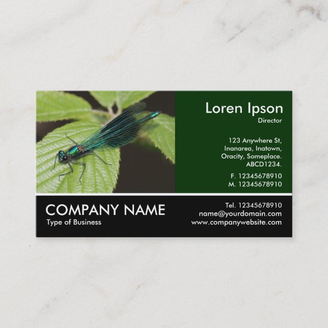 Footed Photo - Dragonfly Business Card (Front)