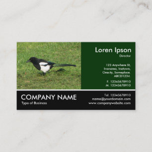 Footed Photo - European Magpie Business Card