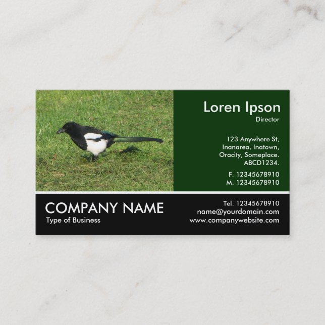 Footed Photo - European Magpie Business Card (Front)