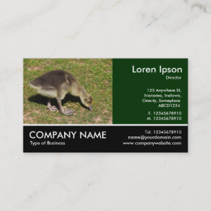 Footed Photo - Gosling Business Card