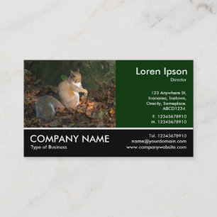 Footed Photo - Grey Squirrel Business Card
