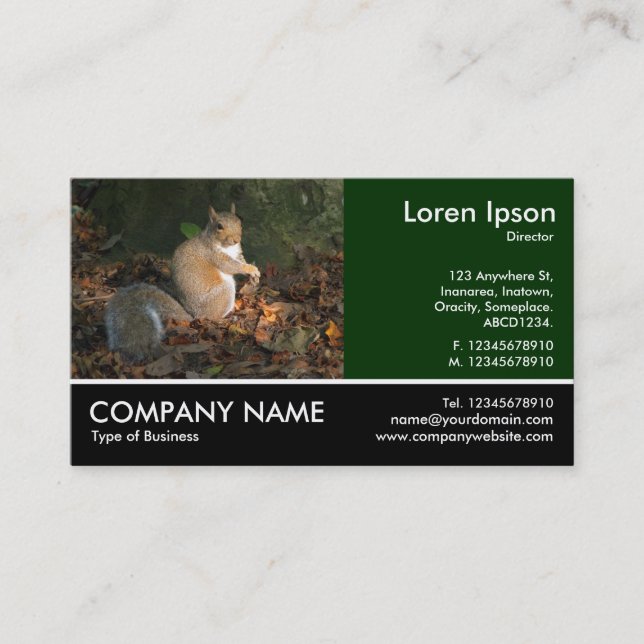 Footed Photo - Grey Squirrel Business Card (Front)