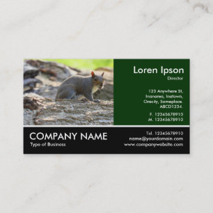 Footed Photo - Grey Squirrel Business Card