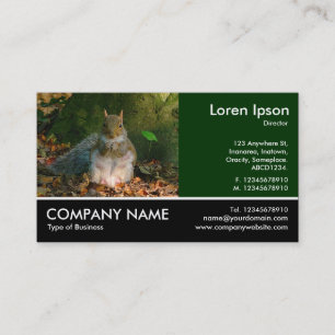 Footed Photo - Grey Squirrel Business Card