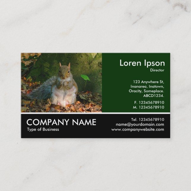 Footed Photo - Grey Squirrel Business Card (Front)