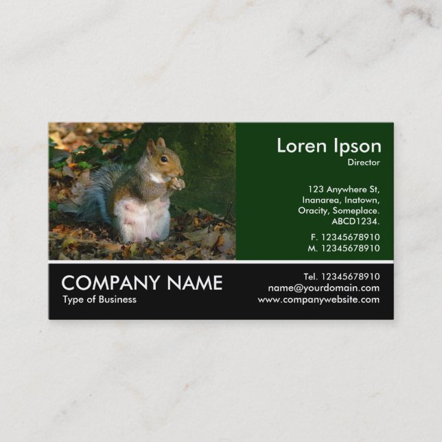 Footed Photo - Grey Squirrel Business Card (Front)