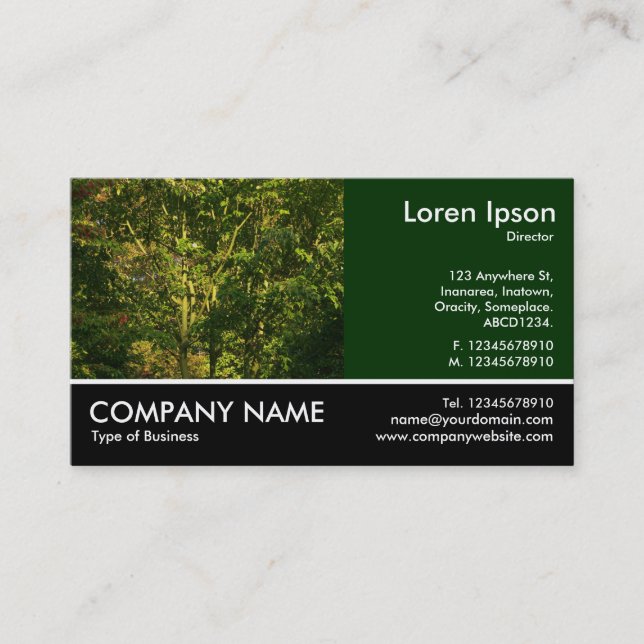Footed Photo - Japanese Branches 05 Business Card (Front)