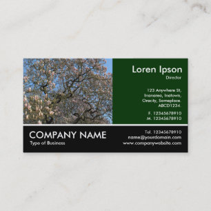Footed Photo - Magnolia Tree in Blossom Business Card