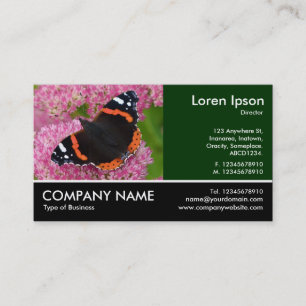 Footed Photo - Red Admiral on Sedum (Autumn Joy) Business Card