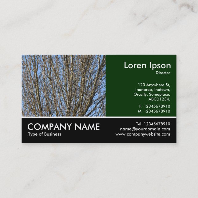 Footed Photo - Sunlit Branches Business Card (Front)