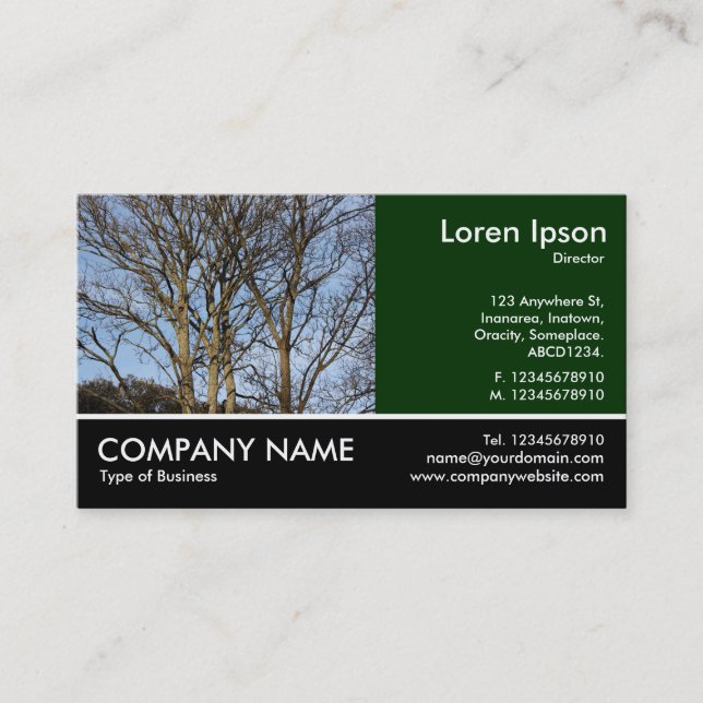 Footed Photo - Sunlit Branches Business Card (Front)