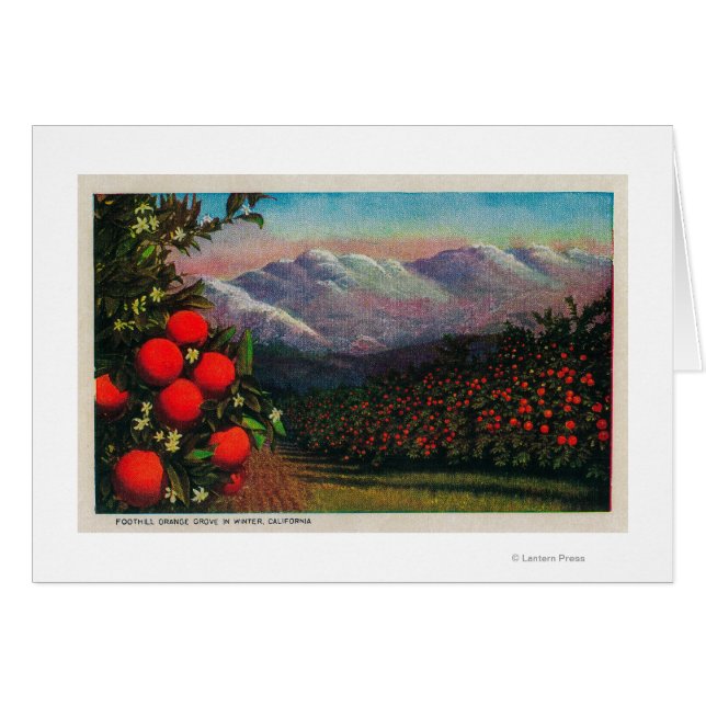 Foothill Orange Grove in the WinterState (Front Horizontal)