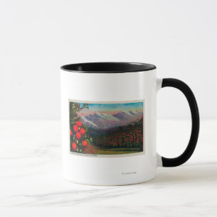 Foothill Orange Grove in the WinterState Mug